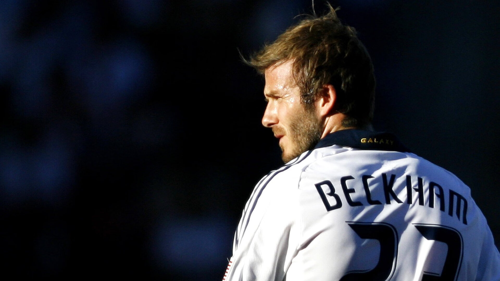 克里斯蒂vs布兰预测